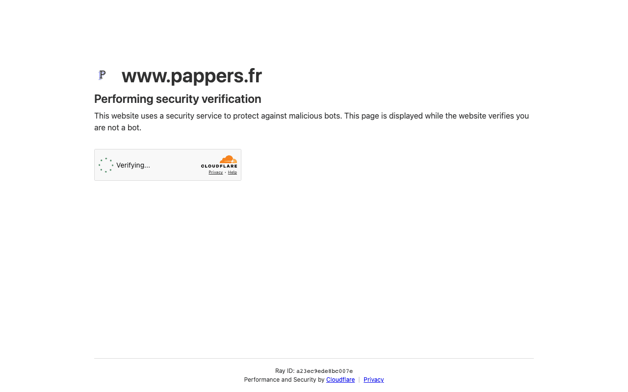 Page de présentation du serveur MCP de Pappers
