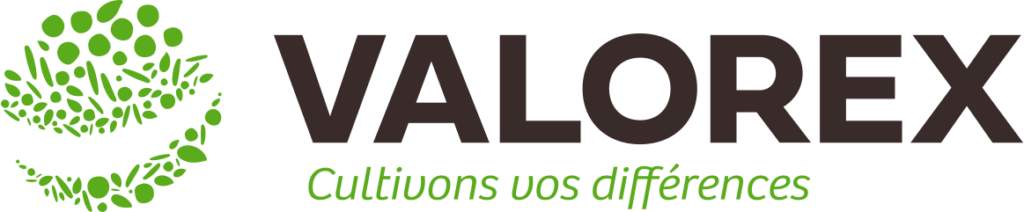 Logo Valorex — Visiolait